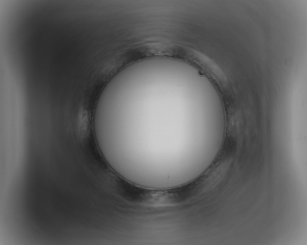 X0000101990121200807251234