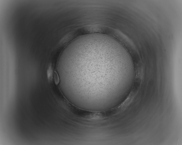 X0000101990124200807251234