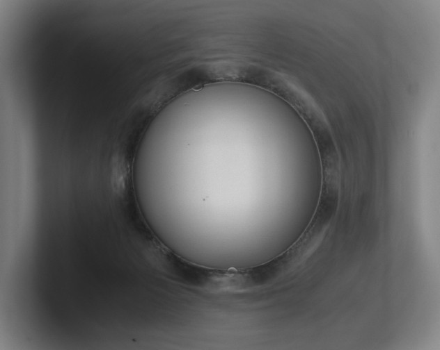 X0000101990125200807251234