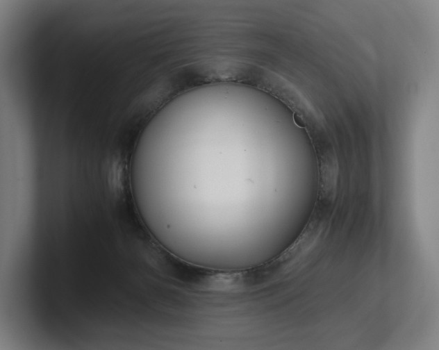 X0000101990126200807251234