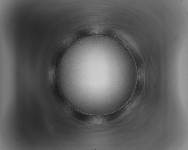 X0000101990127200807251234