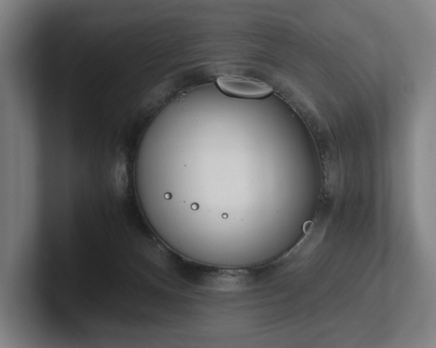 X0000101990128200807251233