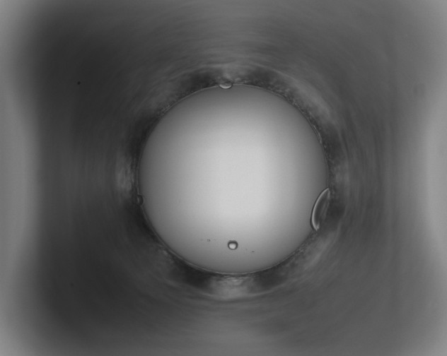 X0000101990129200807251233