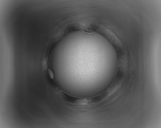 X0000101990131200807251233