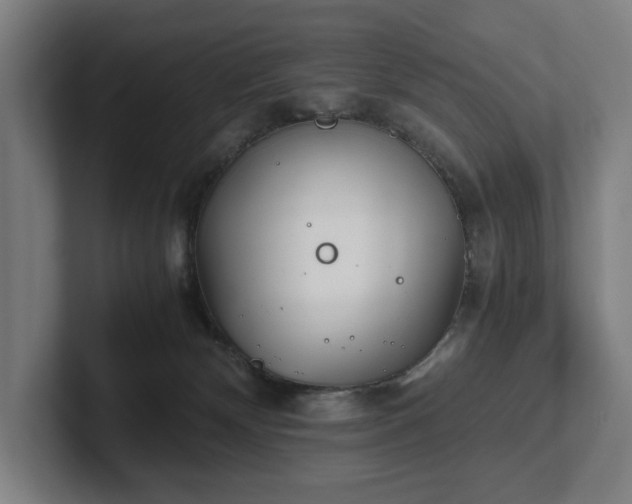 X0000101990132200807251233