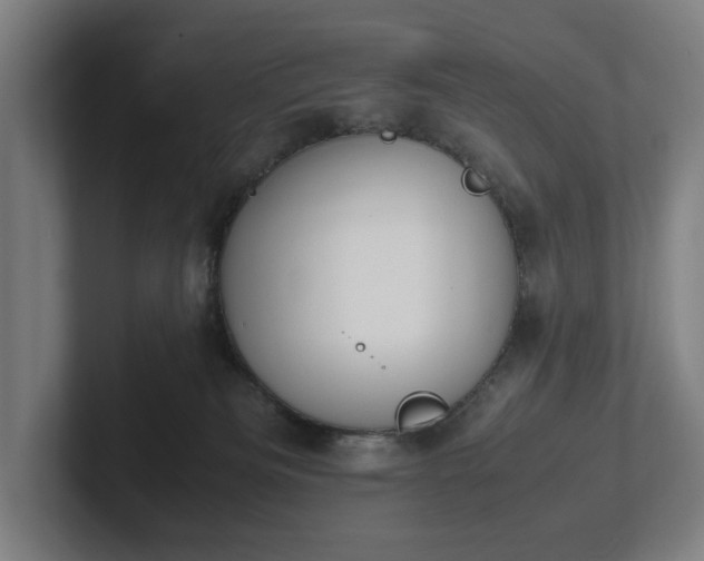 X0000101990133200807251233