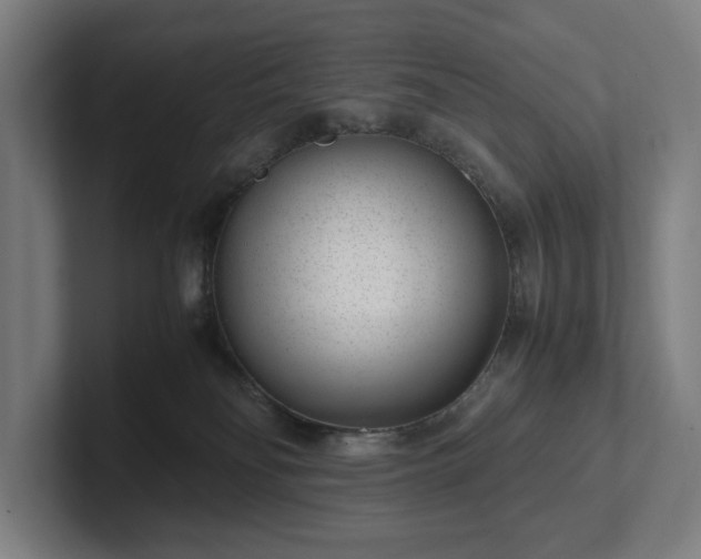 X0000101990134200807251233