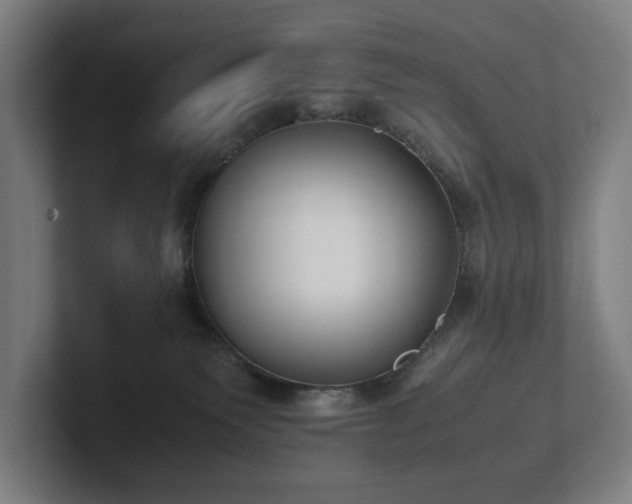 X0000101990135200807251233