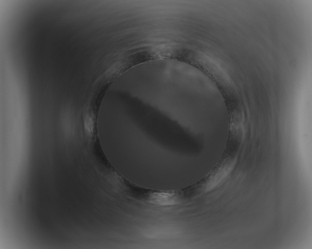 X0000101990139200807251233