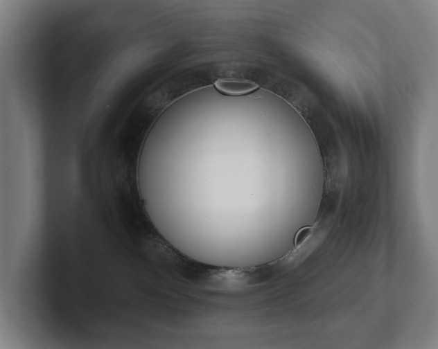 X0000101990140200807251233