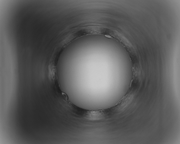 X0000101990141200807251233