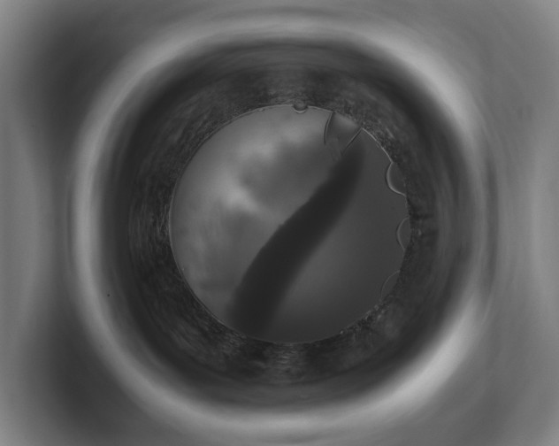 X0000101990143200807251233