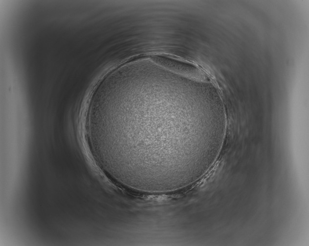 X0000101990145200807251233