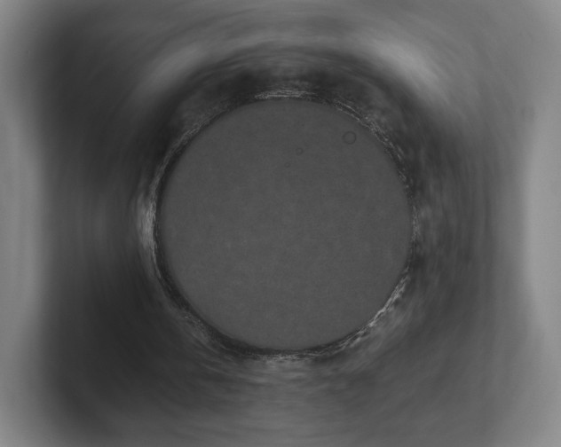 X0000101990146200807251233