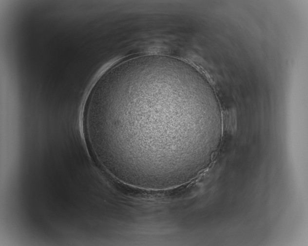 X0000101990147200807251233