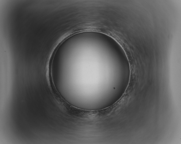 X0000101990148200807251233