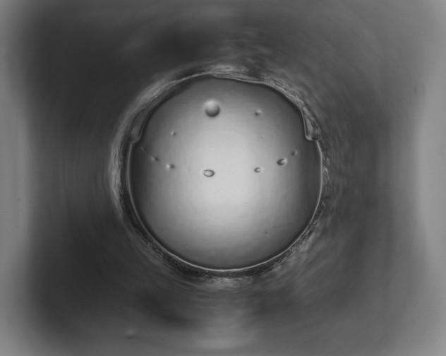 X0000101990149200807251233