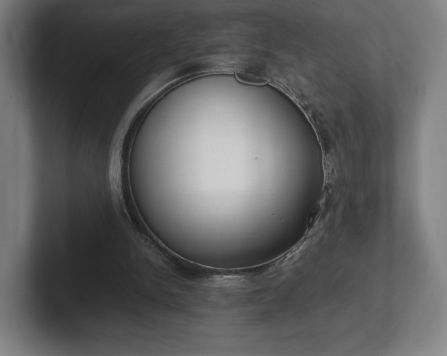 X0000101990150200807251233