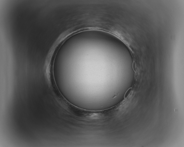 X0000101990151200807251233