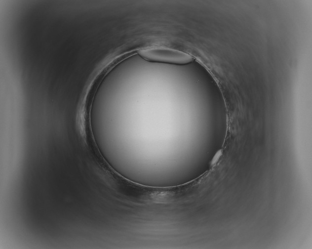 X0000101990152200807251233