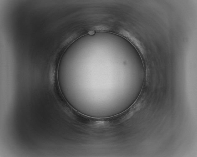 X0000101990153200807251233