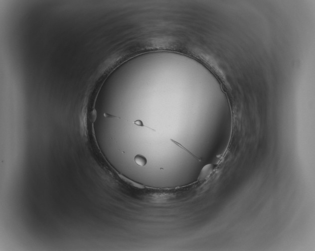 X0000101990154200807251233