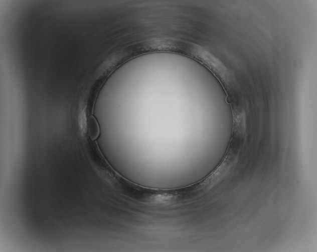 X0000101990158200807251233