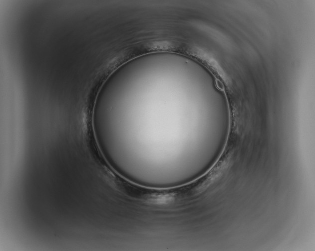 X0000101990161200807251233