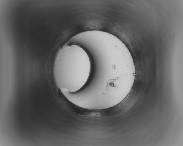 X0000101990162200807251233