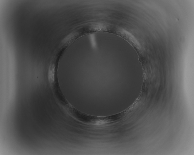 X0000101990163200807251233