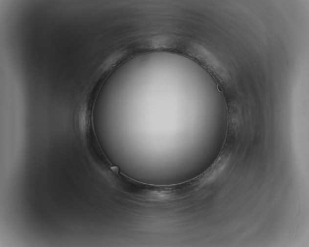 X0000101990164200807251233