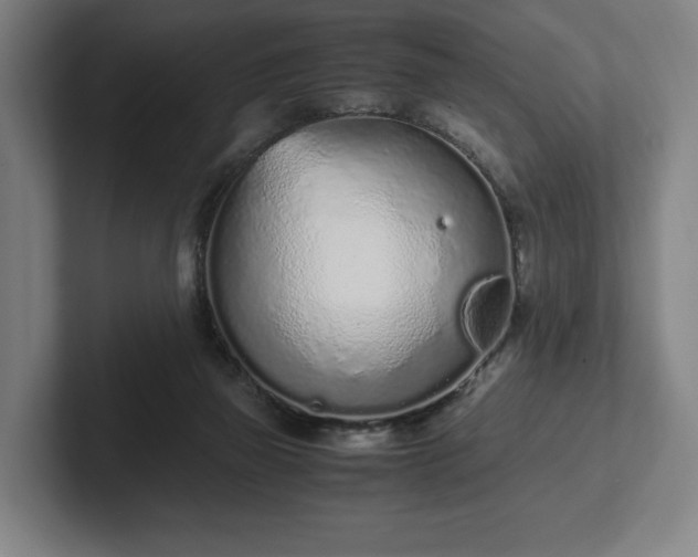 X0000101990165200807251233