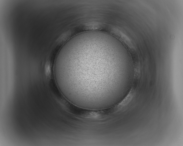 X0000101990166200807251233