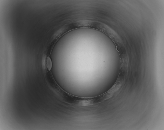 X0000101990168200807251233
