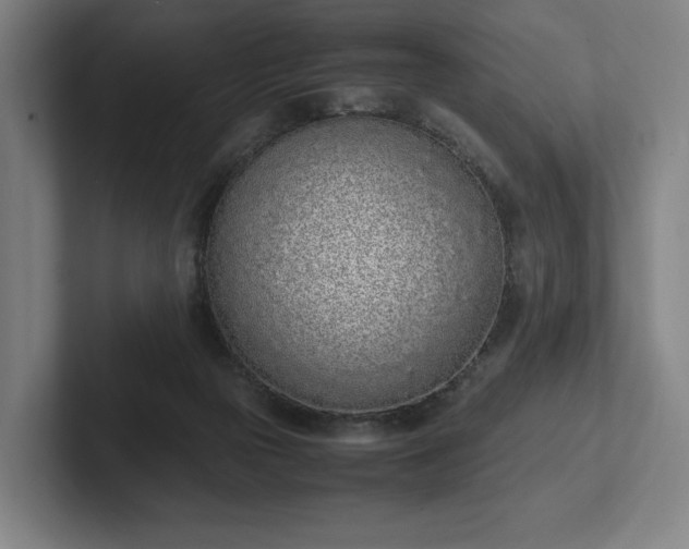 X0000101990169200807251233