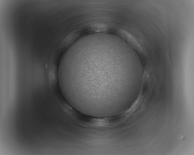 X0000101990170200807251233