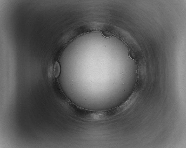 X0000101990172200807251233