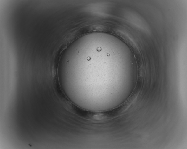 X0000101990173200807251233