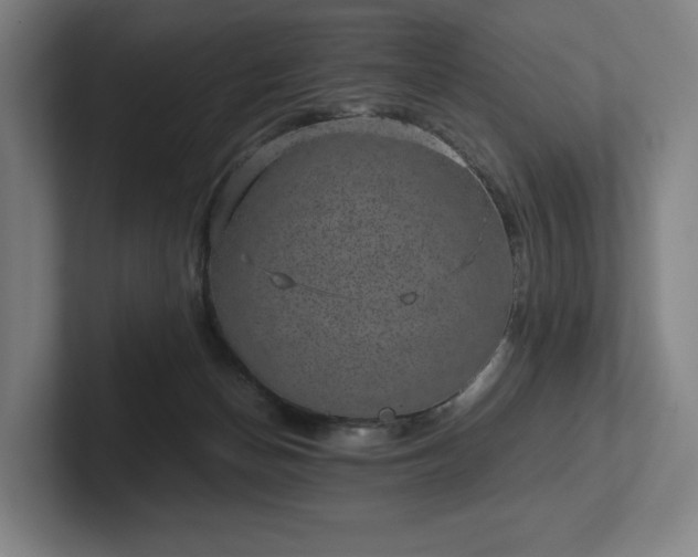 X0000101990174200807251233