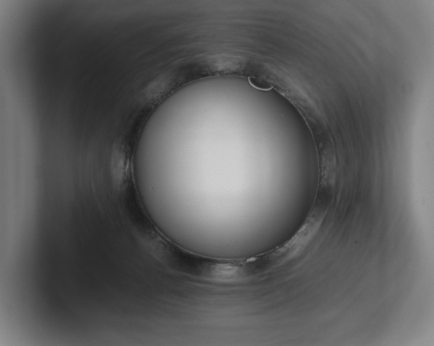 X0000101990176200807251233