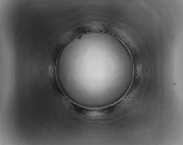 X0000101990177200807251233