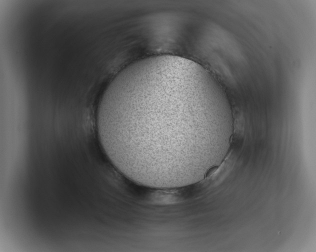 X0000101990179200807251233