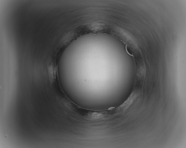 X0000101990180200807251233