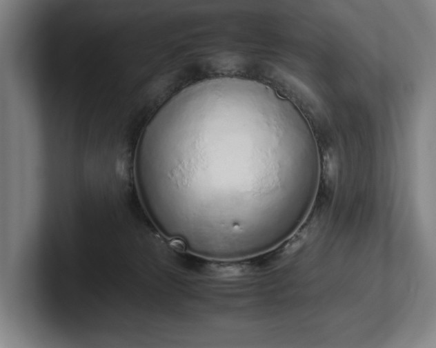 X0000101990181200807251233