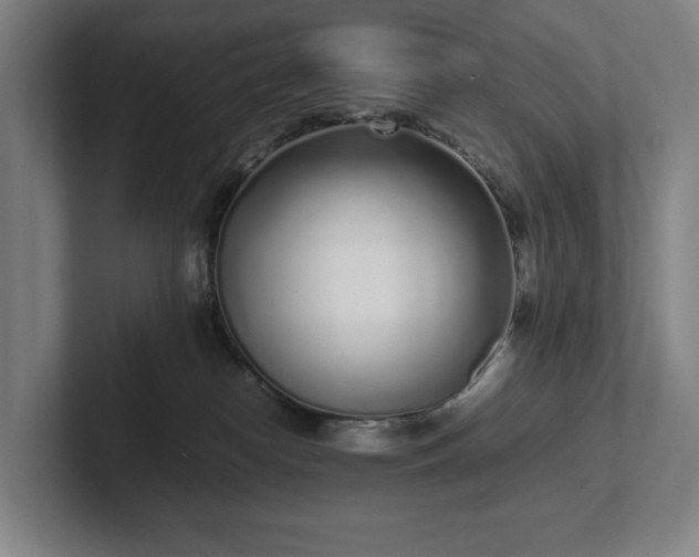 X0000101990182200807251233