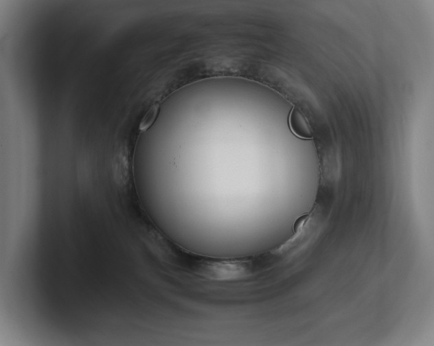 X0000101990183200807251233