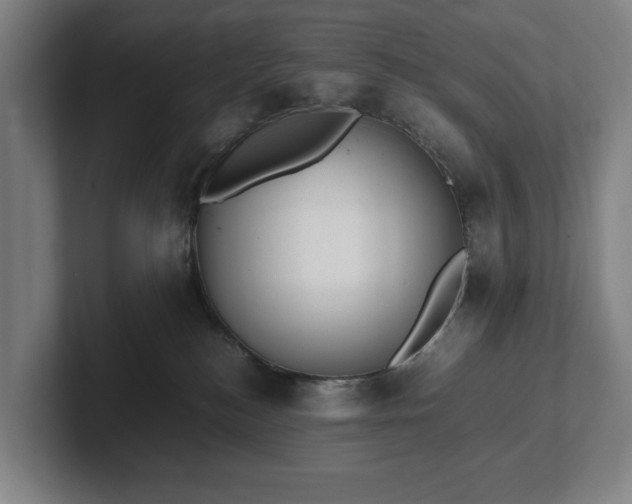 X0000101990184200807251233