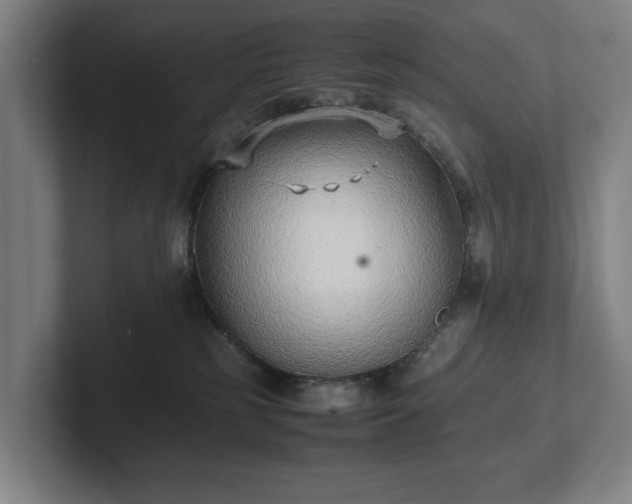 X0000101990185200807251233