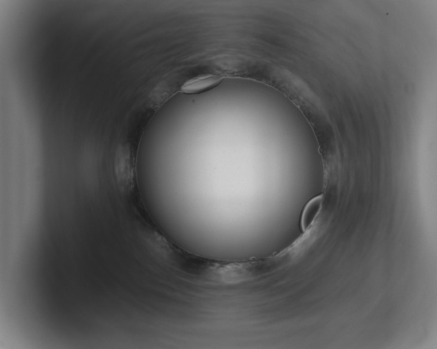 X0000101990186200807251233