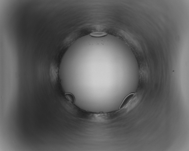 X0000101990188200807251233